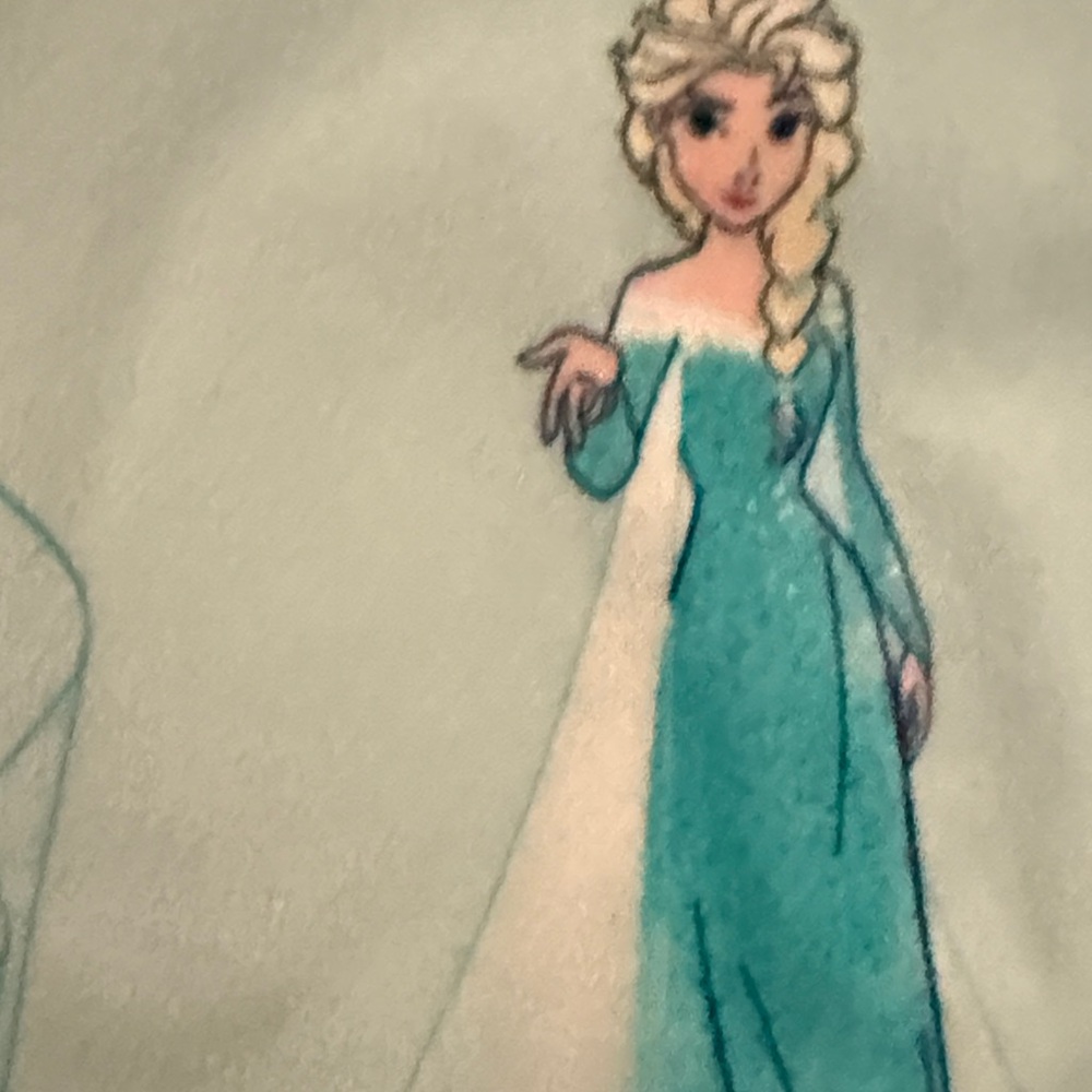 Bundle of Cozy Girls Nightgowns - Bluey and Frozen Anna and Elsa! Today only! - Picture 14 of 15